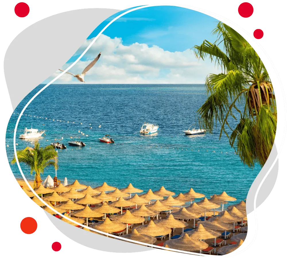 مدارک ویزا تونس