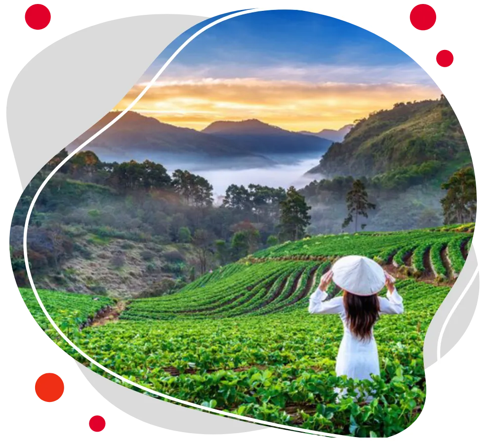 شرایط اخذ ویزای ویتنام